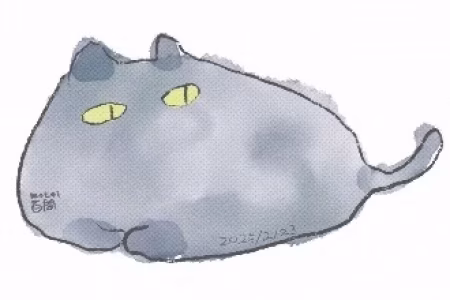 2月/2025