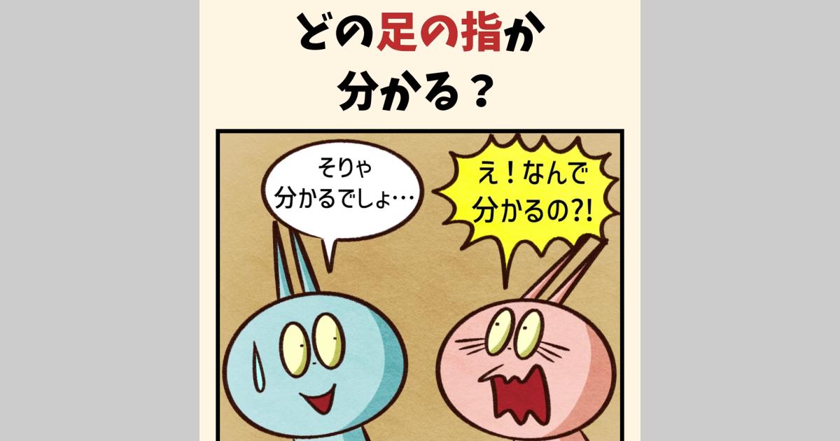 どの足の指か分かる? | 90KU-KAN
